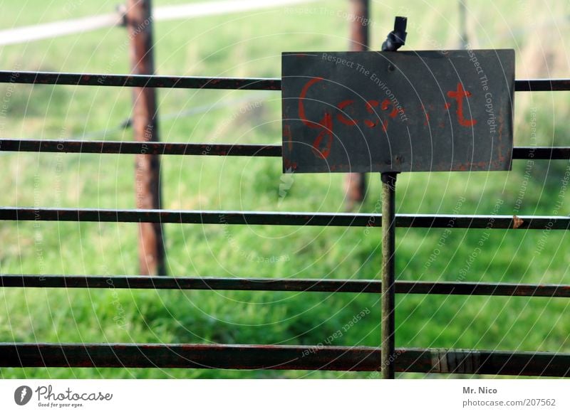 Gcsp t Natur Gras Wiese grün Ordnung Zaun gesperrt Pferch Viehweide Viehweidezaun Weide Weidezaun Eisentor Buchstaben Schilder & Markierungen Gitter