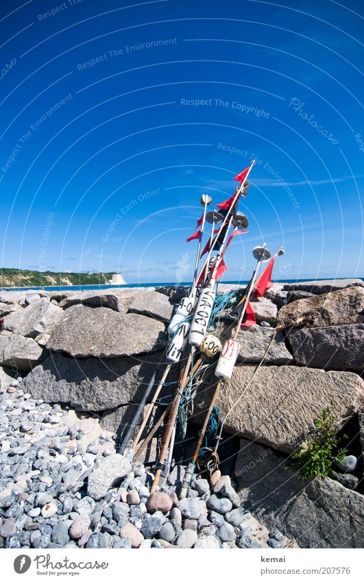 Kap Arkona Umwelt Natur Landschaft Wasser Himmel Sommer Klima Schönes Wetter Wärme Felsen Kreidefelsen Ostsee Meer Insel Rügen Angelrute Stein Steinmauer Küste