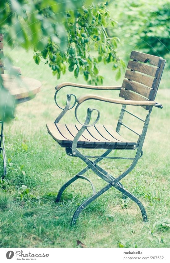 welcome home. elegant Stil harmonisch Erholung ruhig Umwelt Natur Garten Park ästhetisch frisch grün Stuhl Sommer Außenaufnahme Gartenmöbel Klappstuhl