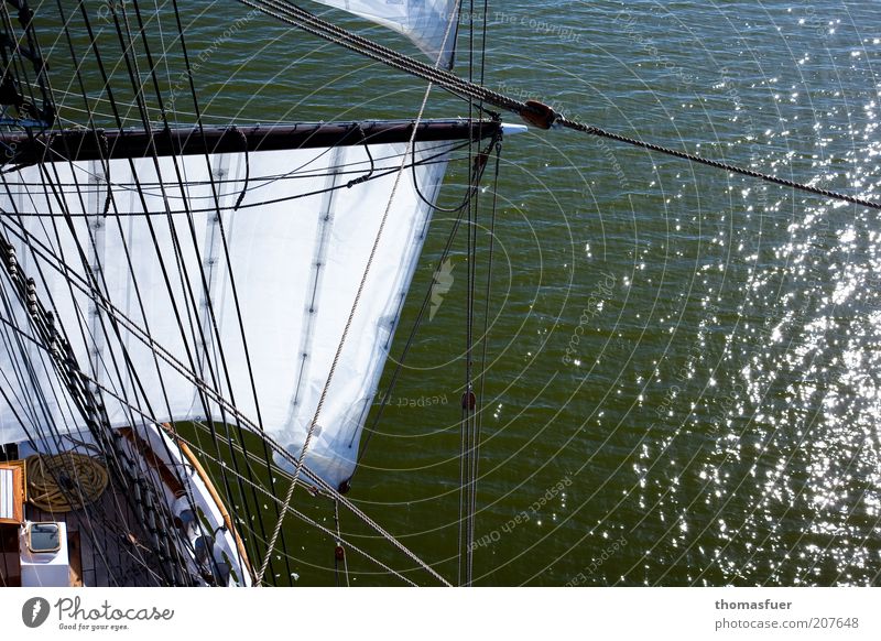 Discovery Segeln Ferien & Urlaub & Reisen Abenteuer Freiheit Kreuzfahrt Expedition Sommer Meer Wellen Wasser Schönes Wetter Ostsee Schifffahrt Segelschiff schön