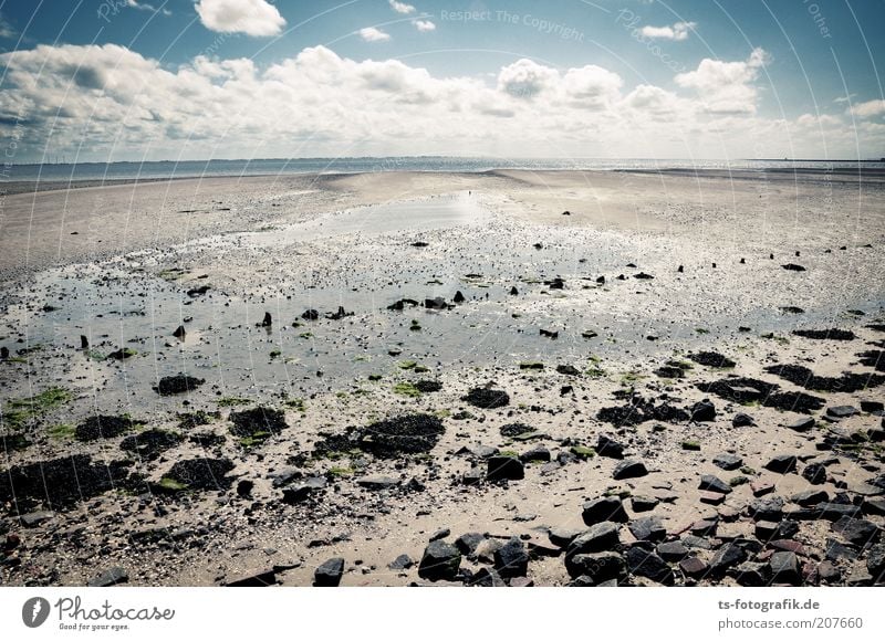 *300* Spurensuche Ferien & Urlaub & Reisen Tourismus Sommer Sommerurlaub Strand Meer Insel Wellen Himmel Wolken Horizont Schönes Wetter Küste Nordsee Ebbe