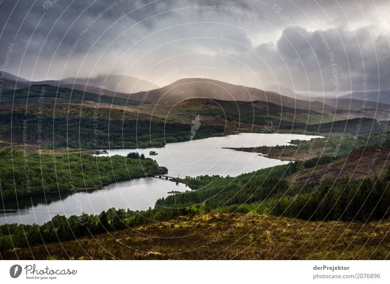 Loch Alsh in Schottland II Wolken Felsvorsprung Küste Seeufer Flussufer Sommer Landschaft Felsen Bucht Pflanze Fjord Insel Europa Außenaufnahme Gedeckte Farben