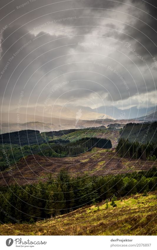 Panoramasicht beim Loch Alsh in Schottland Wolken Felsvorsprung Küste Seeufer Flussufer Sommer Landschaft Felsen Bucht Pflanze Fjord Insel Europa Außenaufnahme