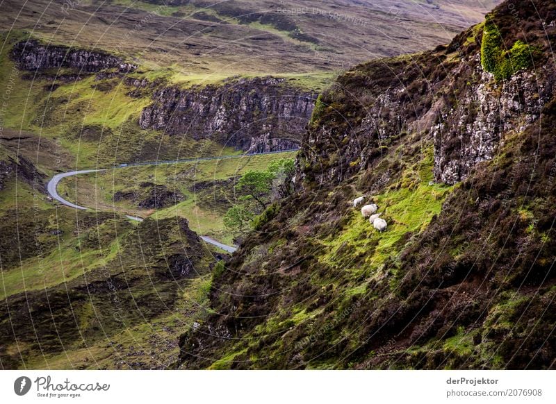 Blick vom the Quiraing auf Isle of Skye V Wolken Felsvorsprung Küste Seeufer Flussufer Sommer Landschaft Felsen Bucht Pflanze Fjord Insel Schottland Europa