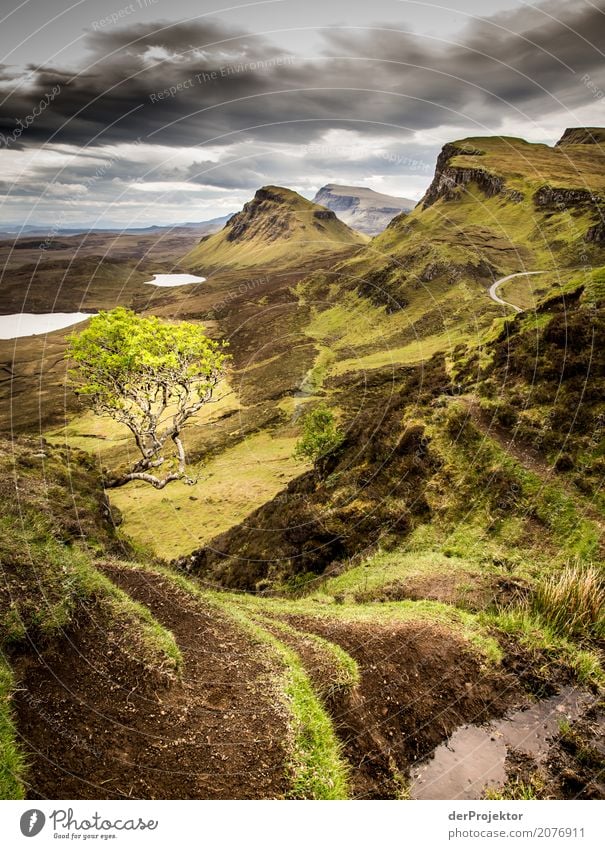 Blick vom the Quiraing auf Isle of Skye III Wolken Felsvorsprung Küste Seeufer Flussufer Sommer Landschaft Felsen Bucht Pflanze Fjord Insel Schottland Europa