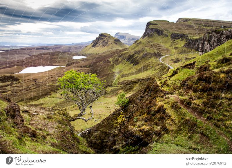 Blick vom the Quiraing auf Isle of Skye IV Wolken Felsvorsprung Küste Seeufer Flussufer Sommer Landschaft Felsen Bucht Pflanze Fjord Insel Schottland Europa