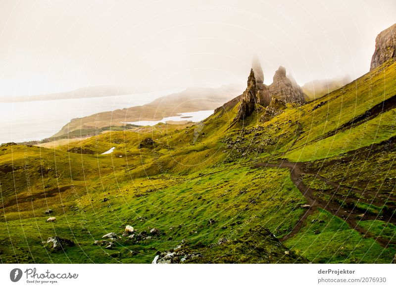 Old Man of Storr 1 Ferien & Urlaub & Reisen Tourismus Abenteuer Ferne Freiheit Camping Berge u. Gebirge wandern Umwelt Natur Landschaft Pflanze Sommer