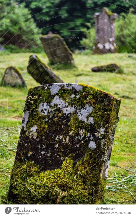 Grabstein auf Friedhof auf der Insel Isle of Skye I Ruine Kreuz Frieden Zentralperspektive Textfreiraum Mitte Großbritannien Tourismus Ferien & Urlaub & Reisen