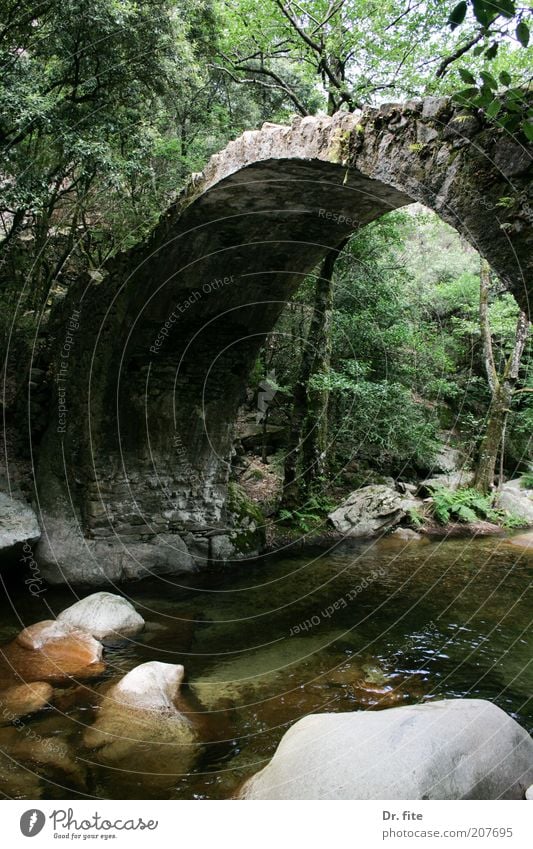 Under the bridge Wasser Baum Sträucher Flussufer Romantik ruhig Freizeit & Hobby Natur Ferien & Urlaub & Reisen Farbfoto Außenaufnahme Menschenleer Tag Schatten