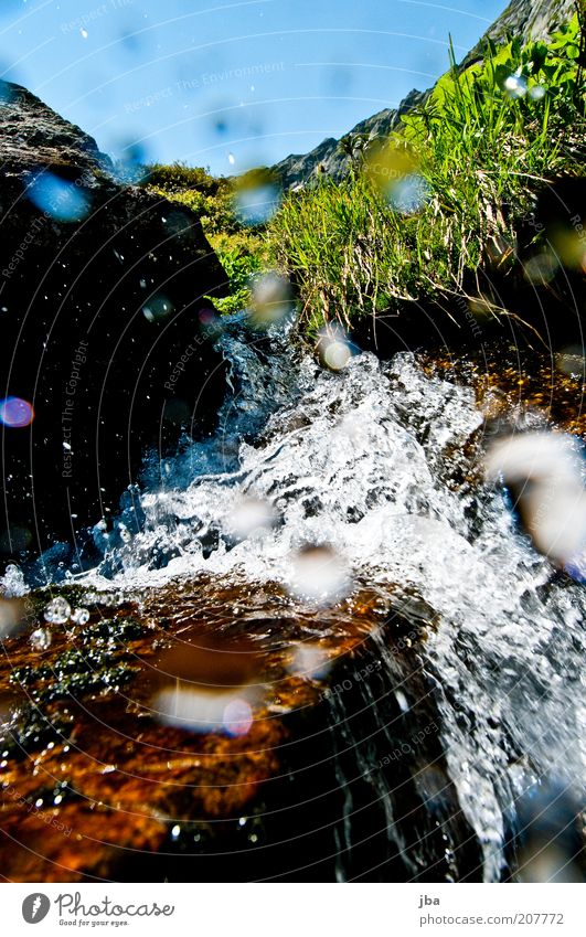 Erfrischung Leben Berge u. Gebirge Umwelt Natur Wasser Wassertropfen Sommer Schönes Wetter Pflanze Gras Alpen Grimsel Pass Bach Wasserfall Schweiz Europa fallen