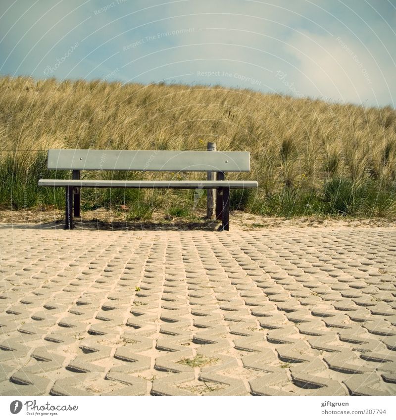 verweilen im vorübergehen Landschaft Sommer Pflanze Gras Hügel Küste warten Dünengras Bank Sitzgelegenheit Steinboden Himmel bedeckt Wolken Pause Erholung