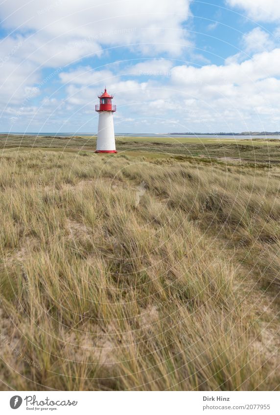 Leuchtturm (West) in List auf Sylt. Ferien & Urlaub & Reisen Tourismus Ausflug Ferne Freiheit Sommer Sommerurlaub Meer Insel wandern Natur Nordsee maritim