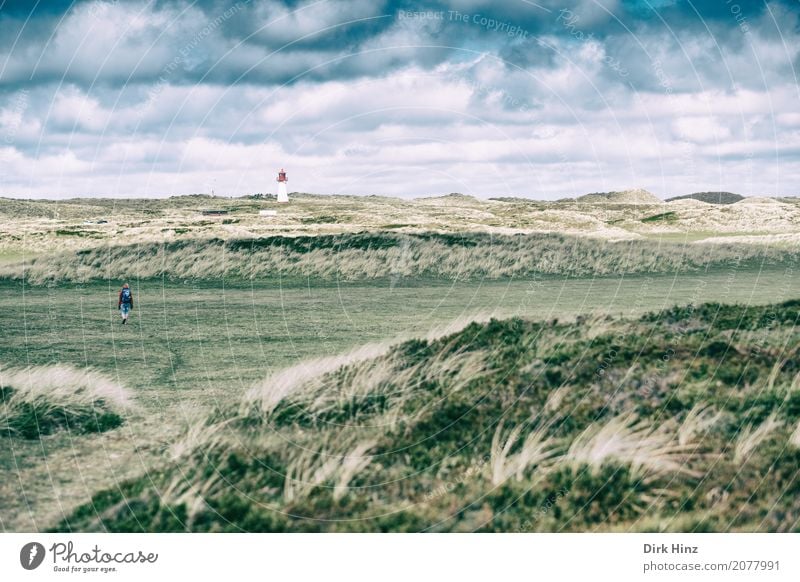 Leuchtturm List (West) III Ferien & Urlaub & Reisen Tourismus Ferne Sommerurlaub Meer Insel wandern 1 Mensch Natur Wasser Nordsee maritim Nordfriesland