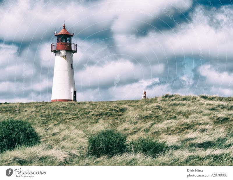 Leuchtturm in List auf Sylt Ferien & Urlaub & Reisen Tourismus Ausflug Ferne Freiheit Sightseeing Sommerurlaub Meer Insel Natur Wasser Gras Wiese Küste Nordsee