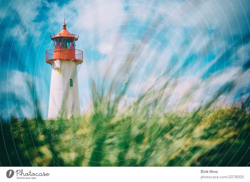 Leuchtturm in List auf Sylt Ferien & Urlaub & Reisen Tourismus Ausflug Ferne Freiheit Sightseeing Sommer Sommerurlaub Sonne Meer Insel Natur Wasser Nordsee