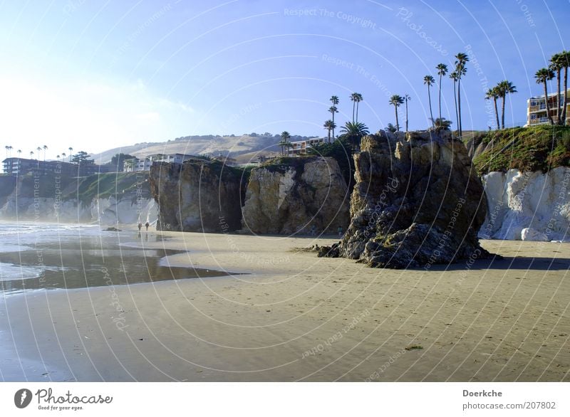 Felsige Entspannung Natur Landschaft Sand Schönes Wetter Palme Küste Strand Bucht Meer Pazifik gigantisch ruhig Pismo Beach Farbfoto Außenaufnahme Tag