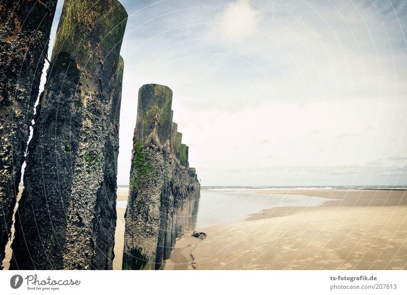 Geht's da vorn mal weiter? Ferien & Urlaub & Reisen Tourismus Ferne Sommer Sommerurlaub Strand Meer Urelemente Sand Wasser Himmel Wolken Schönes Wetter Küste