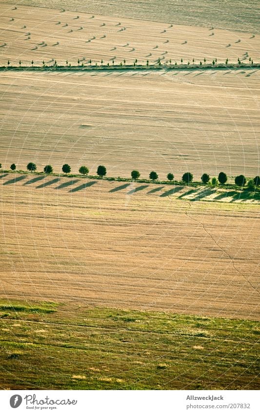 dorfidyll Natur Erde Sommer Schönes Wetter Baum Feld Ferne natürlich ästhetisch Ordnung Heuballen Fußweg Schatten Luftaufnahme Vogelperspektive Farbfoto