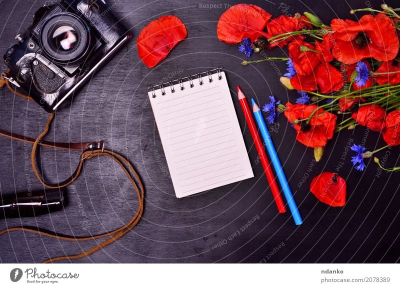 Notizblock und Vintage Filmkamera Tourismus Fotokamera Pflanze Blume Blatt Blüte Papier Schreibstift Blumenstrauß Holz Blühend natürlich blau grün rot schwarz