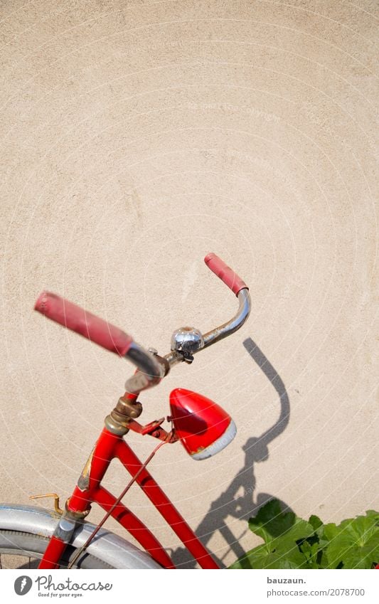 verdreht. Gesundheit sportlich Fitness Freizeit & Hobby Fahrradtour Sommer Sport-Training Fahrradfahren Sonne Sonnenlicht Pflanze Grünpflanze Verkehrsmittel rot