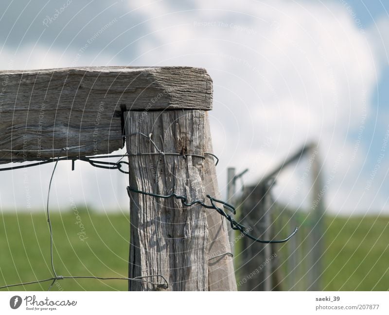 Nordsee Natur Landschaft Wolken Sommer Wiese fest Sicherheit Schutz ruhig Farbfoto Außenaufnahme Nahaufnahme Strukturen & Formen Menschenleer Tag Sonnenlicht