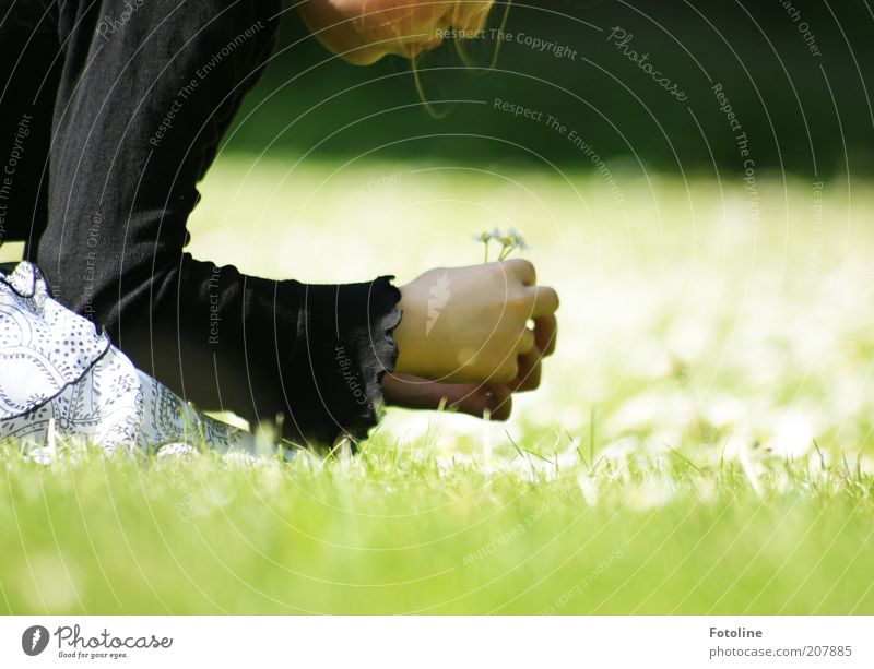 Er liebt mich... er liebt mich nicht... Mensch feminin Mädchen Kindheit Kopf Gesicht Nase Mund Lippen Arme Hand Finger Umwelt Natur Pflanze Frühling Blume Gras