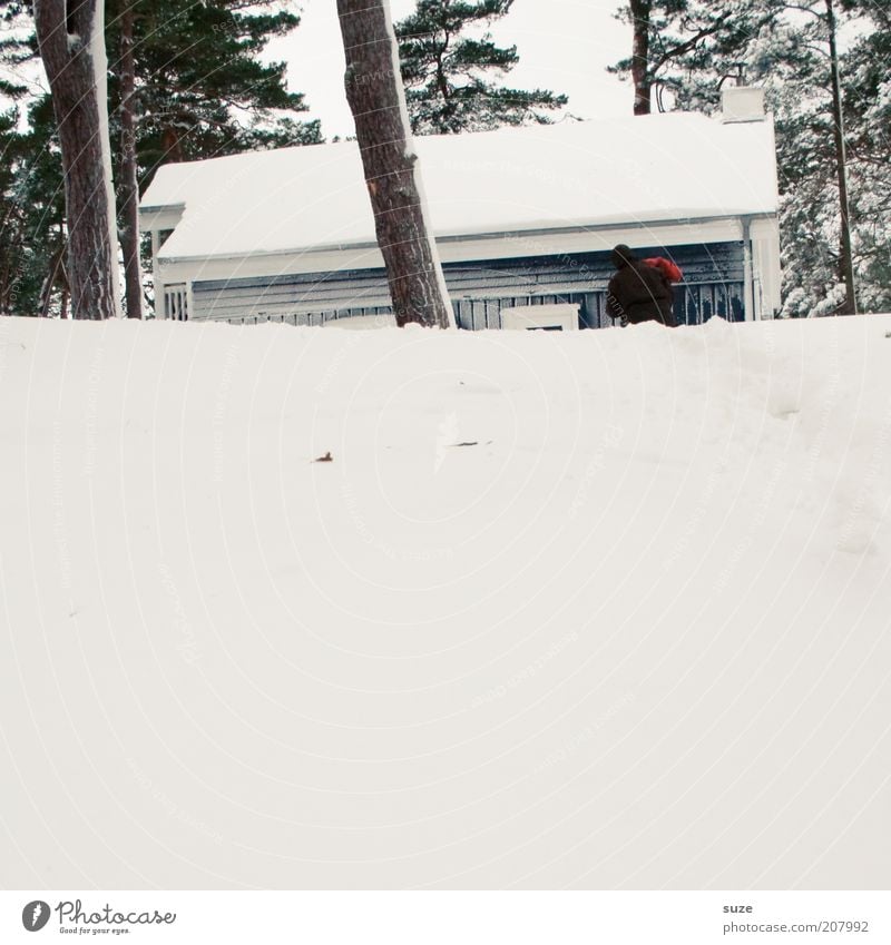 Holz holen Ferien & Urlaub & Reisen Winter Schnee Winterurlaub Häusliches Leben Haus Mensch maskulin Mann Erwachsene 1 Umwelt Natur Baum Einfamilienhaus Hütte