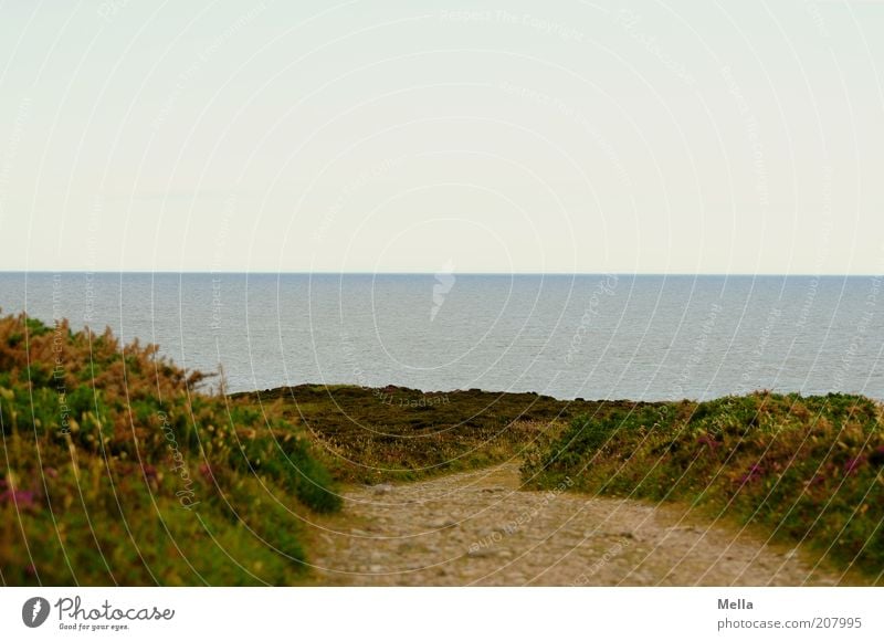 Erwartung Ferien & Urlaub & Reisen Ausflug Ferne Meer Umwelt Natur Landschaft Erde Wasser Himmel Horizont Küste Wege & Pfade Unendlichkeit natürlich Stimmung