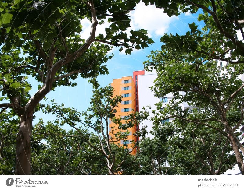 Märkisches Viertel | Schöner Wohnen Stil Häusliches Leben Umwelt Natur Landschaft Baum Haus Hochhaus Gebäude Architektur Fassade ästhetisch Farbe innovativ