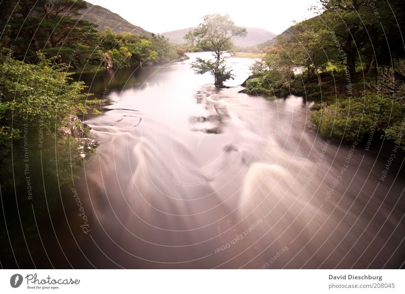 Kerry way Natur Landschaft Pflanze Wasser Frühling Sommer Baum Grünpflanze Wald Flussufer grün weiß Bewegungsunschärfe Republik Irland Belichtung fließen