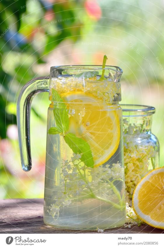 Ältere Limonade mit Zitrone auf altem Tabellenholz Frucht Kräuter & Gewürze Getränk Saft Medikament Sommer Garten Natur Pflanze Blume Blüte frisch gelb grün