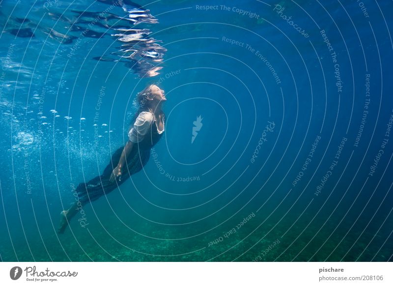 into the blue Wohlgefühl Erholung feminin Junge Frau Jugendliche Wasser See tauchen ästhetisch exotisch frisch nass schön blau Freude Lebensfreude