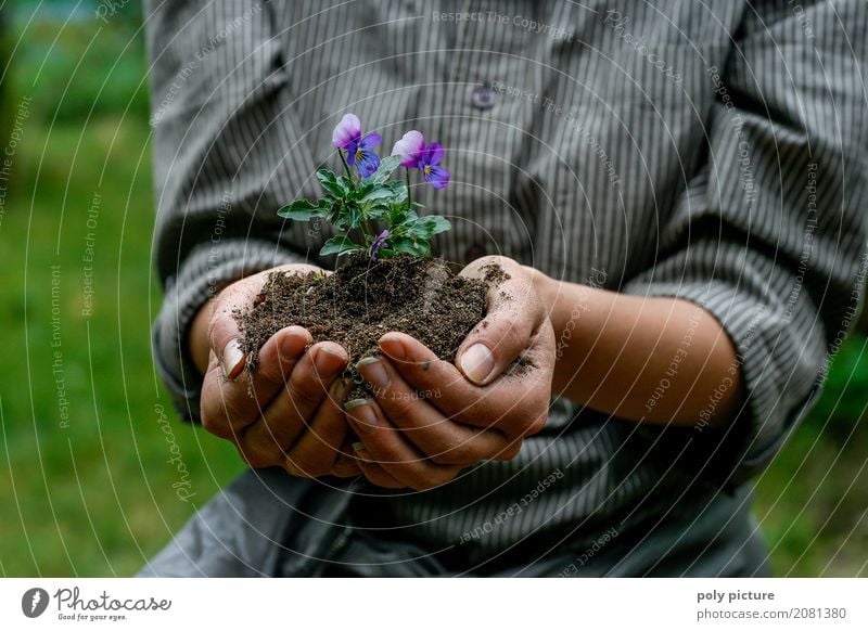 Junge Frau hällt Stiefmütterchen in ihrer Hand. Sommer Garten Kind Arbeit & Erwerbstätigkeit Gartenarbeit Landwirtschaft Forstwirtschaft feminin Jugendliche