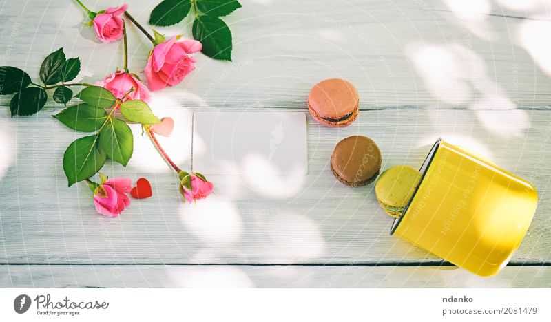 Makronen und eine gelbe Tasse Dessert Süßwaren Tisch Ostern Blume Blumenstrauß Holz hell grün rosa weiß Farbe Tradition Mandel Hintergrund backen Bäckerei