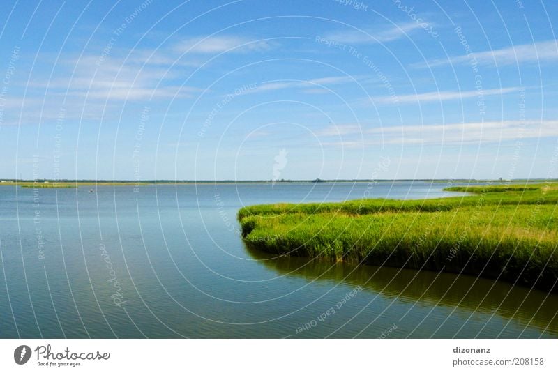 boddenzielles Urlaubsziel Landschaft Pflanze Wasser Himmel Wolken Horizont Sommer Schönes Wetter Gras Grünpflanze Küste Seeufer Ostsee frei frisch groß