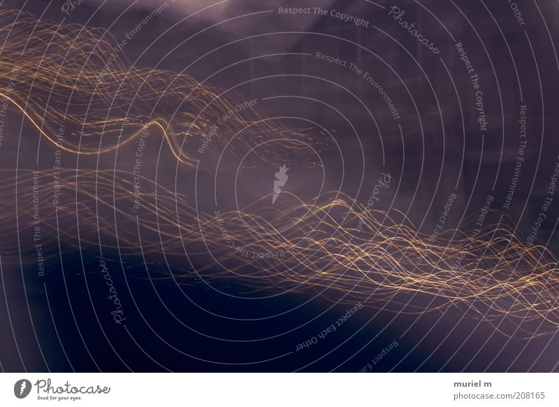 Nachtfahrt High-Tech gold schwarz Bewegung bizarr chaotisch Leuchtspur Lichtbahn Lichtschweif Lichtspiel Lichtstreifen wellig Lichtkunst Kunstlicht Wellenform