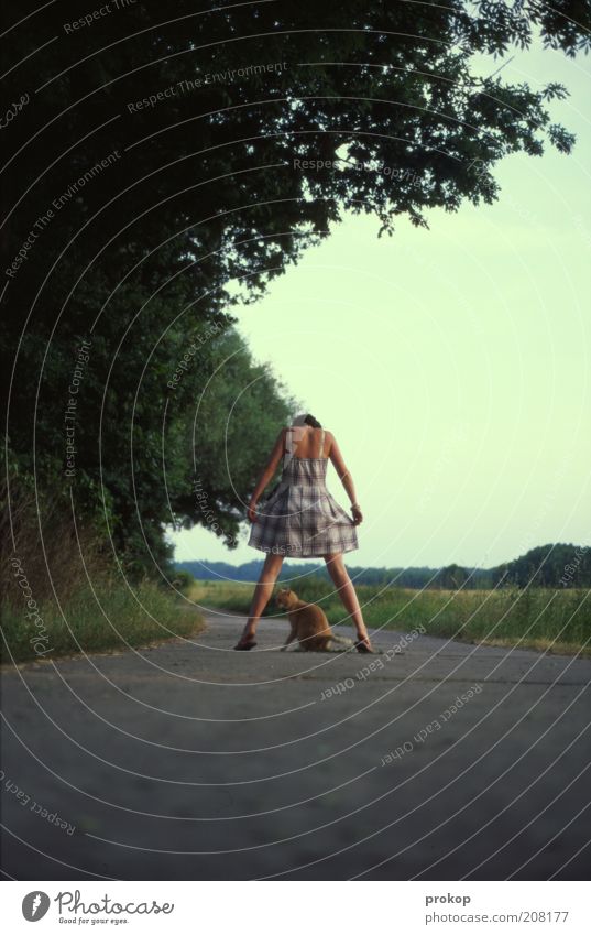 Katzentanz Mensch Junge Frau Jugendliche Erwachsene 1 Umwelt Natur Landschaft Pflanze Himmel Wolkenloser Himmel Schönes Wetter Baum Wiese Tier Haustier Tanzen