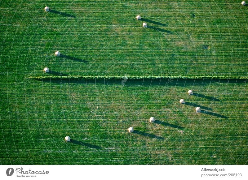 fünf durch sechs Landschaft Schönes Wetter Wiese Feld klein Heuballen Sonnenuntergang Sonnenuhr Farbfoto Außenaufnahme Luftaufnahme abstrakt Tag Abend Schatten