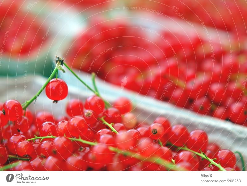 Johannis Lebensmittel Frucht Ernährung Bioprodukte Vegetarische Ernährung Pflanze Nutzpflanze frisch klein lecker sauer süß Johannisbeeren Beeren rot Obstschale