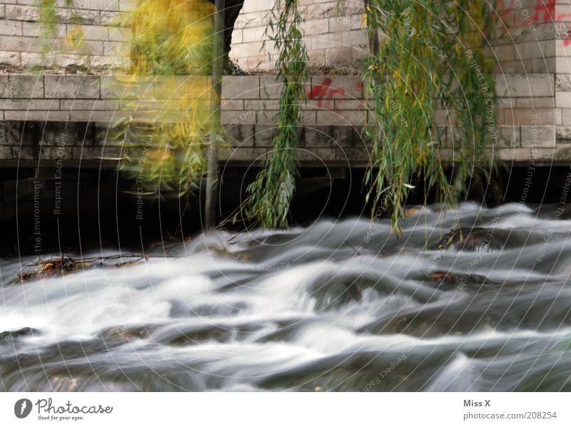 Großstadtrauschen Wasser Bach Fluss Menschenleer Mauer Wand Graffiti dunkel nass trist Weide Unterführung Rauschen Farbfoto Außenaufnahme Langzeitbelichtung