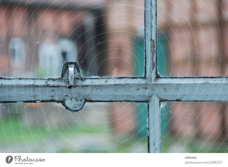 Sprossen Fenster Festersprosse Glas Blick Bauernhof Fachwerkfassade Historische Bauten durchsichtig Glasscheibe Farbfoto Tag alt Metall Fensterkreuz