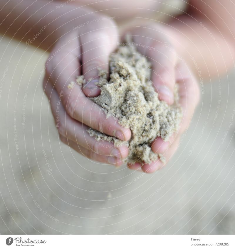 Wie Sand am Meer... Spielen Hand Finger festhalten Natur Ferien & Urlaub & Reisen umschließen Strukturen & Formen Sandkorn zart feucht körnig Farbfoto