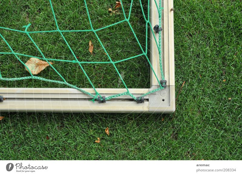 Sommerpause Sport Ballsport Fußballtor Tor Sportstätten Fußballplatz Gras grün ruhig Farbfoto Außenaufnahme Nahaufnahme Menschenleer Textfreiraum rechts