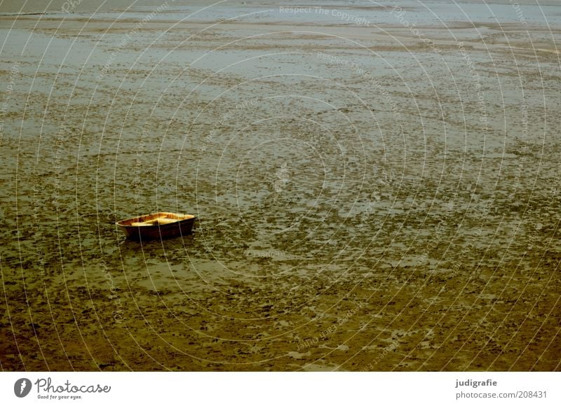 Watt Umwelt Natur Landschaft Küste Nordsee Bootsfahrt Ruderboot dunkel trocken braun Stimmung Einsamkeit ruhig stagnierend Ferne Farbfoto Gedeckte Farben