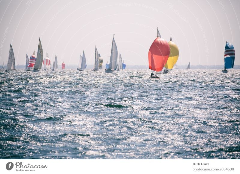 Kieler Woche Sport Wassersport Segeln Bootsfahrt Jacht Segelboot Wasserfahrzeug fahren Ferne frei frisch Unendlichkeit maritim sportlich blau Fernweh Laboe