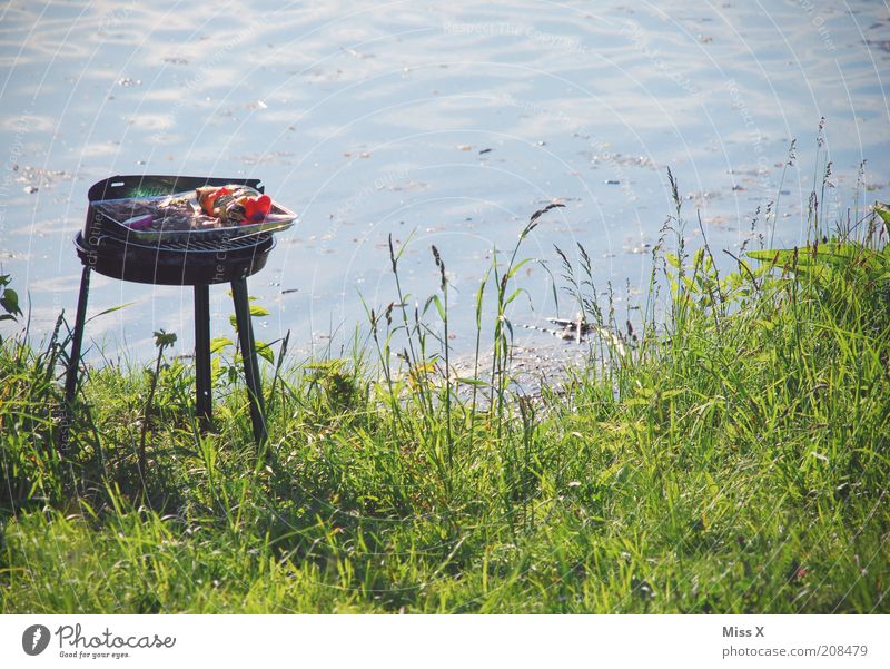 Grillen am See Lebensmittel Fleisch Wurstwaren Ernährung Ferien & Urlaub & Reisen Ausflug Sommerurlaub Teich lecker Grillplatz Farbfoto Außenaufnahme