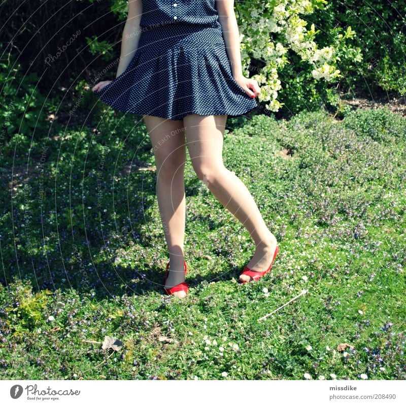 rock on feminin Junge Frau Jugendliche Beine 1 Mensch 18-30 Jahre Erwachsene Rockabilly retro Natur Pflanze Frühling Schönes Wetter Blume Gras Sträucher Mode