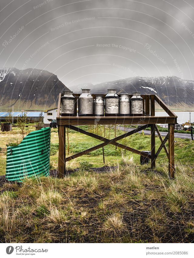 milkable Natur Landschaft Wasser Himmel Wolken Frühling Wetter schlechtes Wetter Wind Regen Baum Gras Wiese Berge u. Gebirge Schneebedeckte Gipfel Küste Fjord