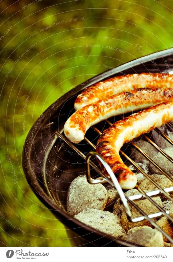 Gleich isses soweit Lebensmittel Wurstwaren Grillen Grillrost Grillkohle Grillsaison Grillplatz Bratwurst Holzkohle Würstchen Sommer Feste & Feiern Fett