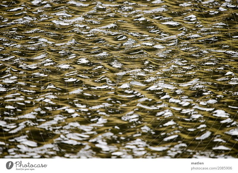 Wellenschlag Umwelt Natur Wasser Schönes Wetter Menschenleer maritim braun grün schwarz weiß Sturm Farbfoto Gedeckte Farben Außenaufnahme Detailaufnahme Muster